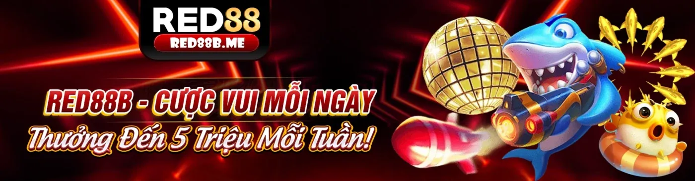 Cá cược có trách nhiệm tại nền tảng vnsoxo chính thức